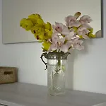 Trigna
