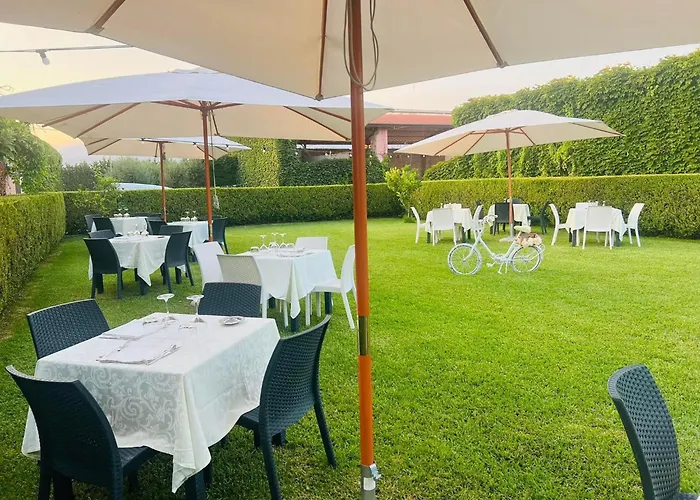 Trigna 拉默齐亚泰尔默